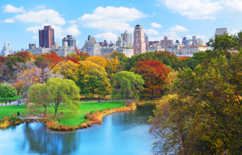 usa - new york_central park_01