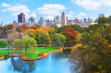 usa - new york_central park_01