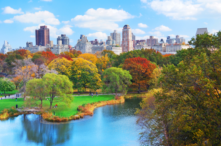 usa - new york_central park_01