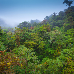 costa rica - monteverde_view_01