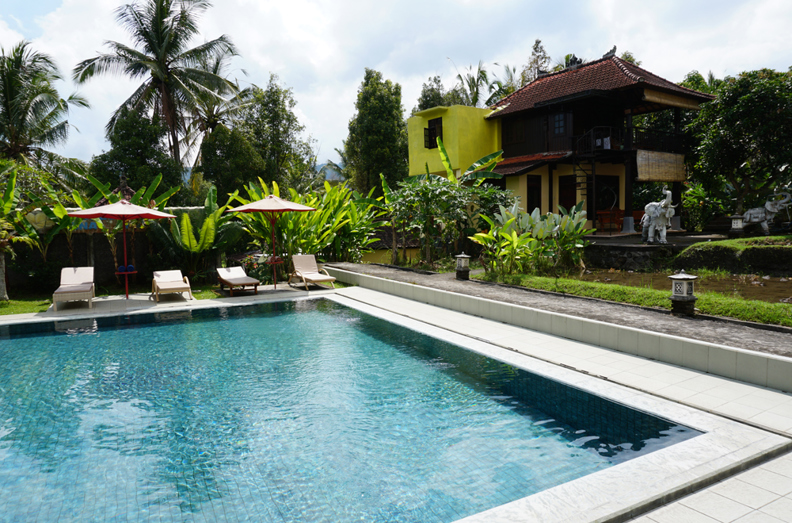 bali - munduk - atres villa_pool_05