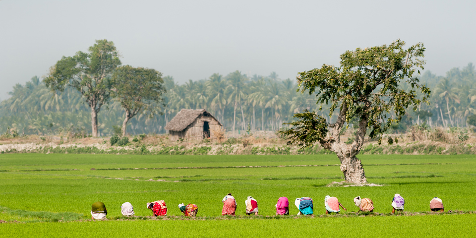 indien - alleppey_befolkning_te_10