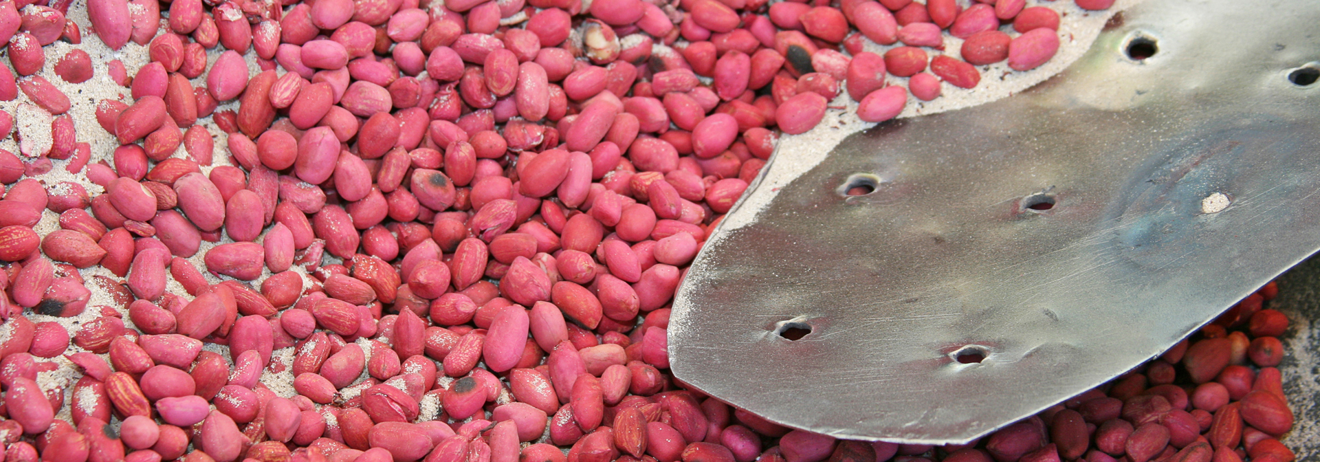 mauritius - mauritius_peanuts_01