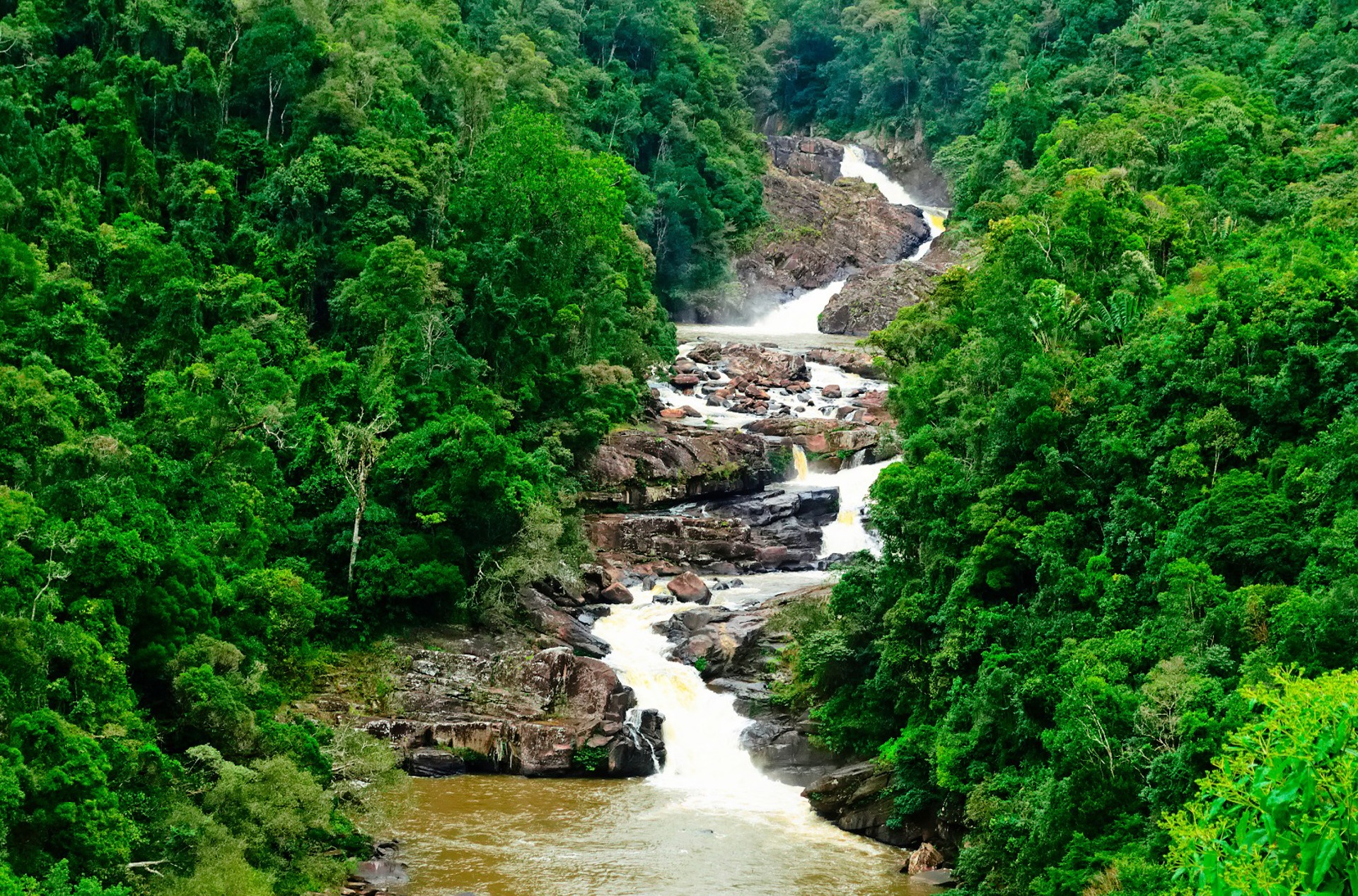 ranomafana national park_regnskov_jungle_vandloeb_01