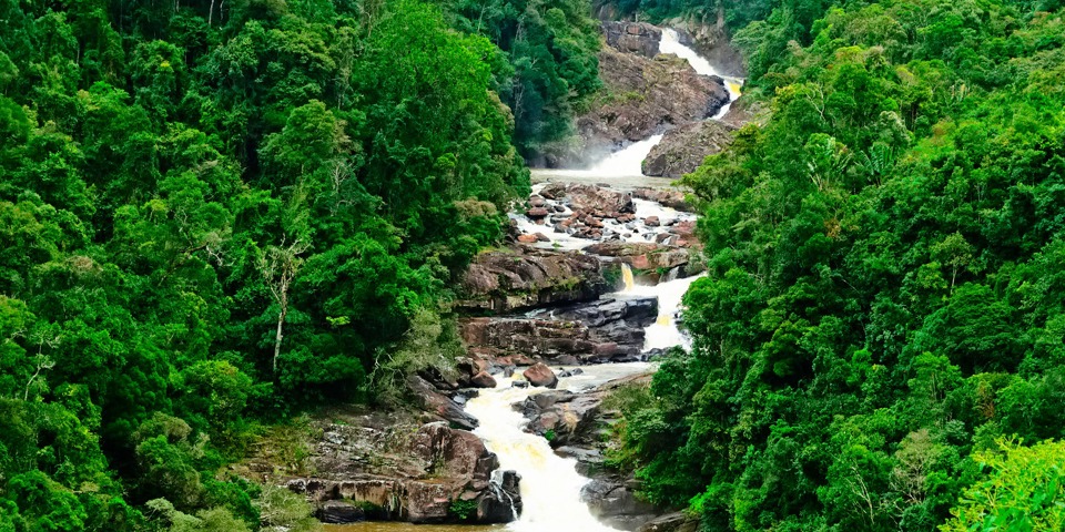 ranomafana national park_regnskov_jungle_vandloeb_01