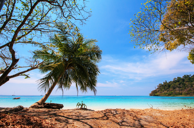 thailand - koh lanta_udflugt_koh rok_03
