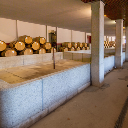 Douro dalen_Quinta da pacheca_vintoende_01