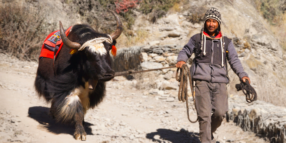 galleri - nepal_befolkning_08