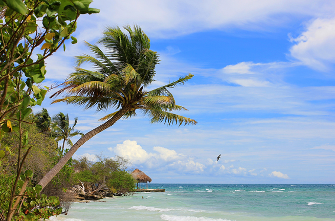 colombia - isla mucura_strand_02