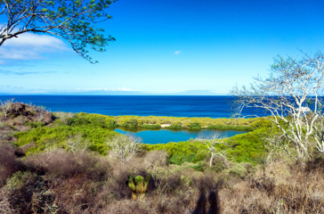 Galapagos_santiago_01