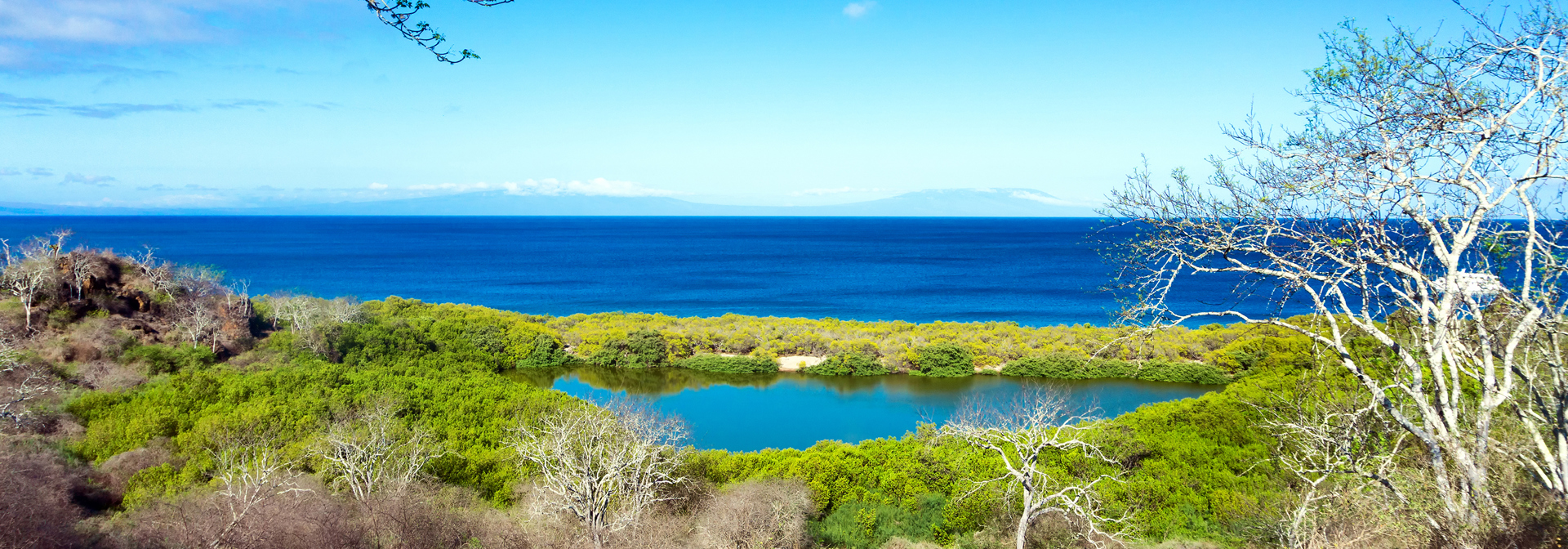 Galapagos_santiago_01