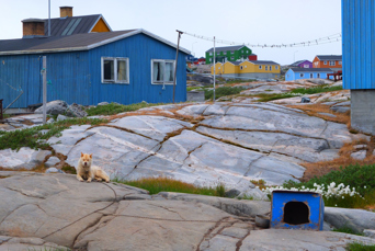 Qeqertarsuaq_by_02