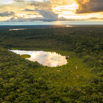 Sacha Lodge Aerial Area