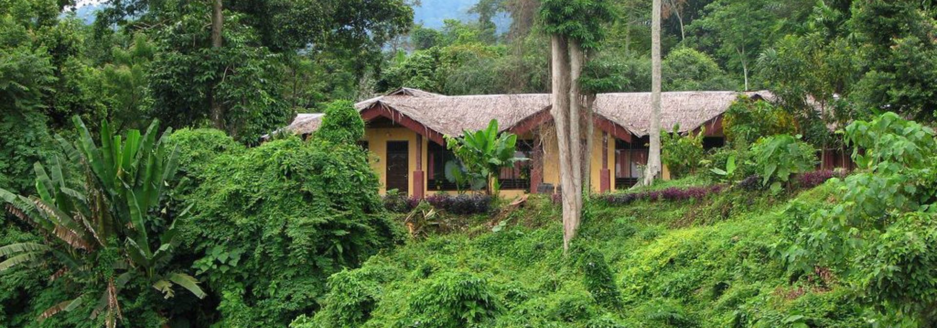 indonesien - bukit lawang cottages_flod
