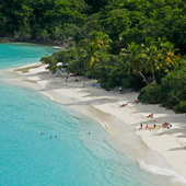 dansk vestindien - st john trunk bay udsigt_02