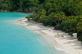 dansk vestindien - st john trunk bay udsigt_02