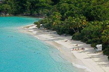 dansk vestindien - st john trunk bay udsigt_02