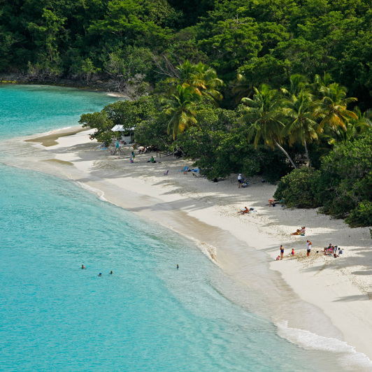 dansk vestindien - st john trunk bay udsigt_02