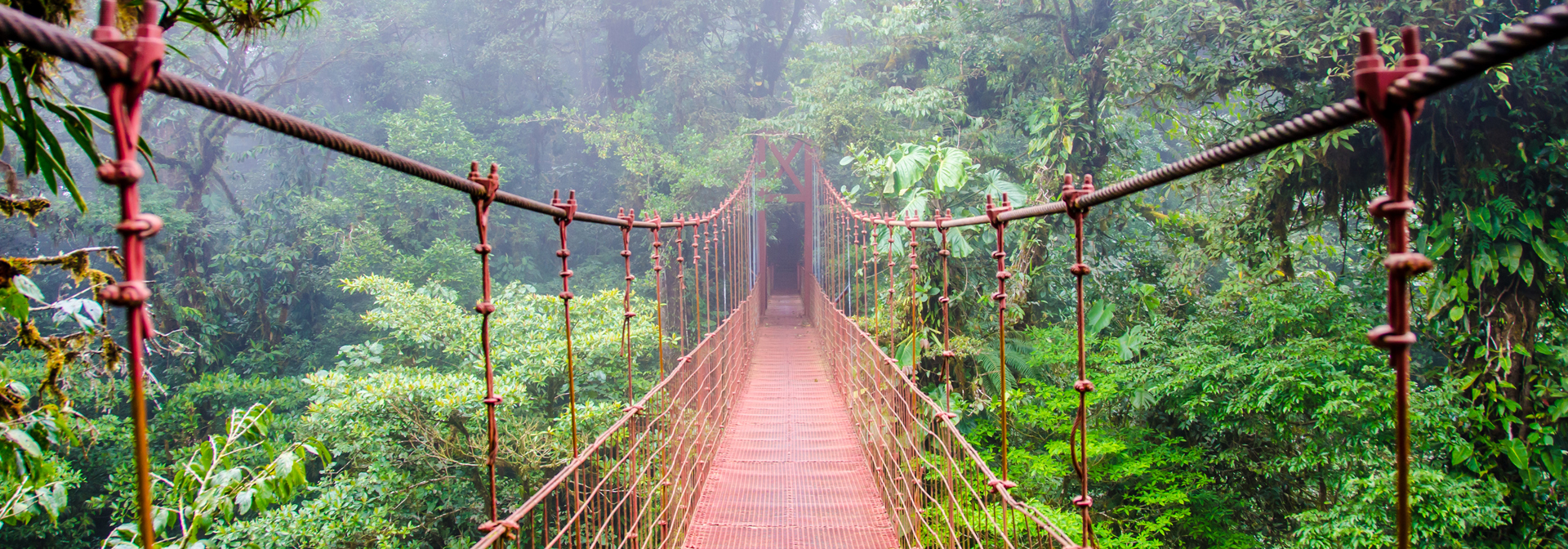 costa rica - monteverde_jungle_haengende_bro_09
