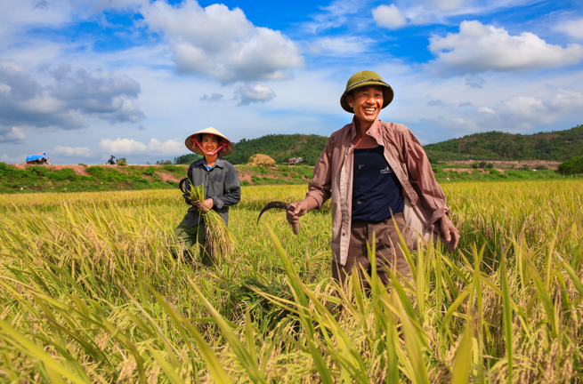 vietnam - hoi an_rismark_01