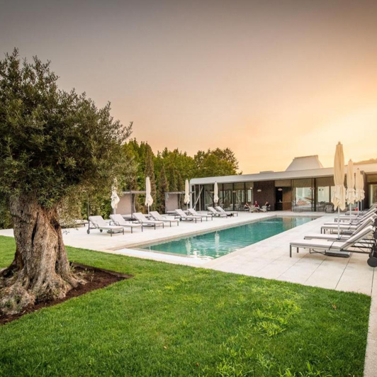 Douro dalen_Quinta da pacheca_pool_02