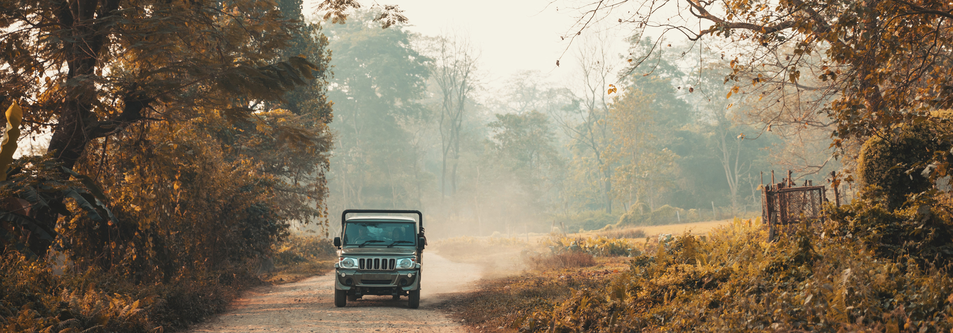 nepal - nepal_chitwan nationalpark_jeep_01