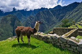 peru - machu picchu_06