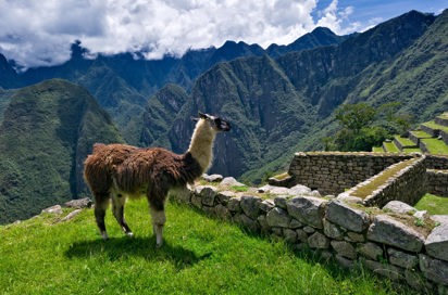 peru - machu picchu_06