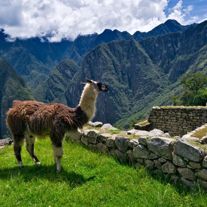 peru - machu picchu_06