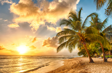 barbados_03