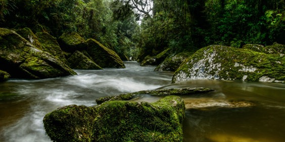 new zealand - paparoa national park_cave creek_01