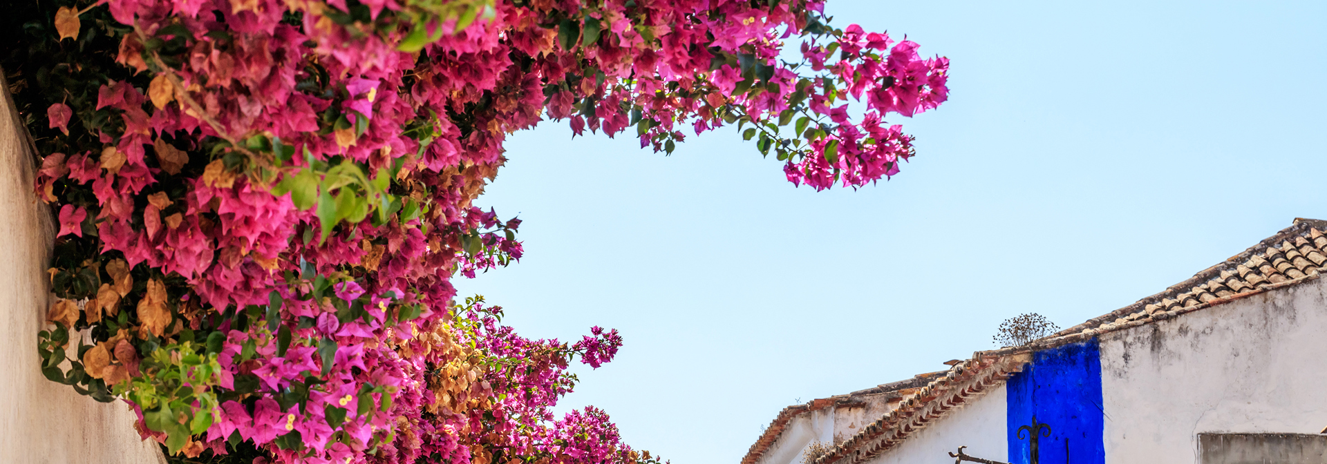 Obidos_blomster_01