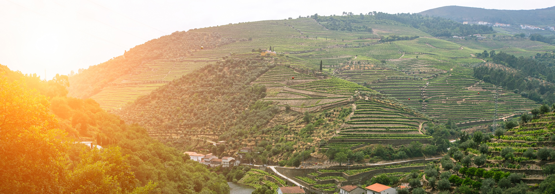 Douro dalen_solnedgang_01