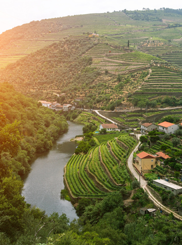 Douro dalen_solnedgang_01
