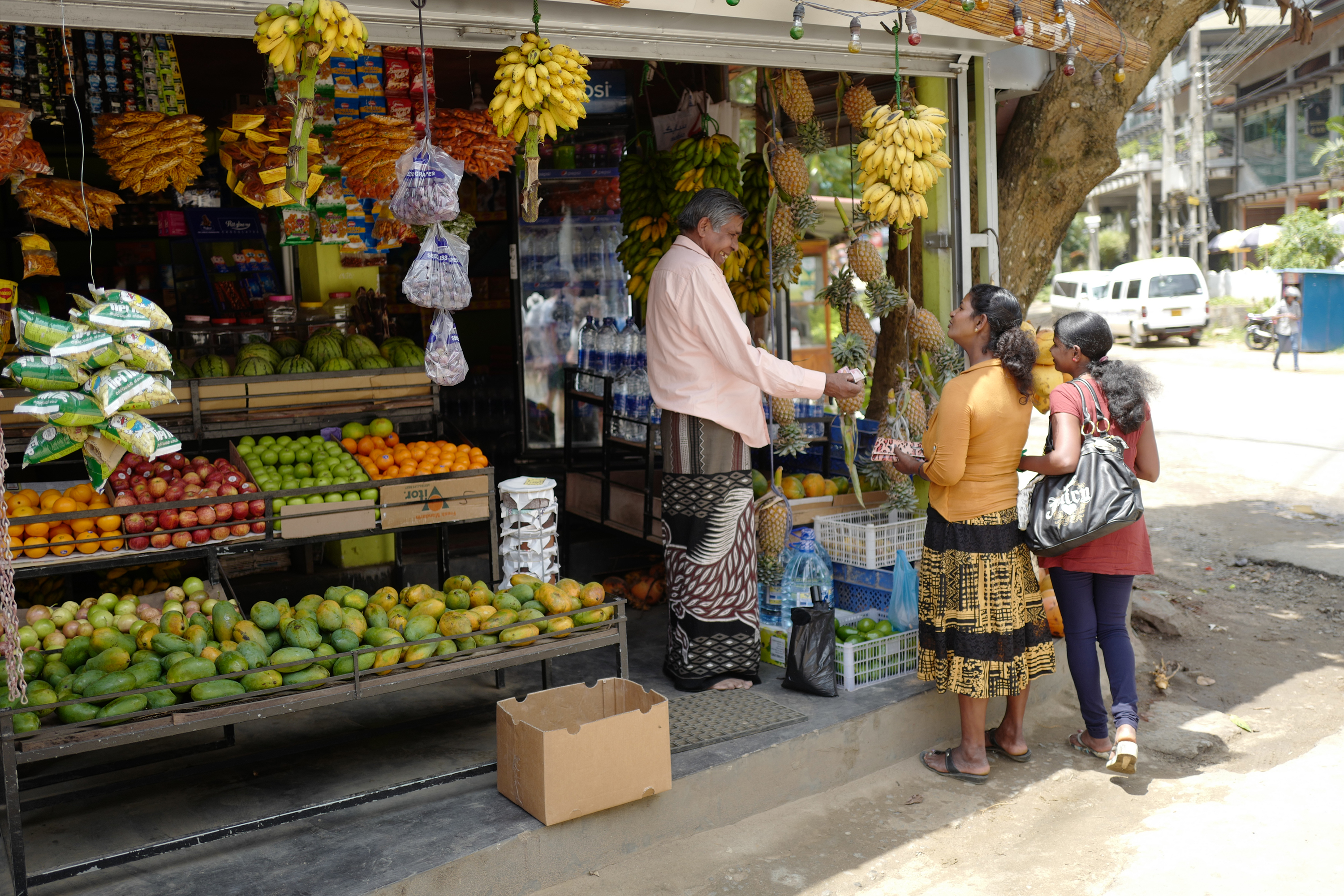 sri lanka - ella_frugtbod_01