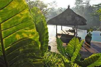 bali - villa bayad_pool_udsigt_04
