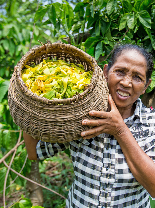 plantage_ylang ylang olie_kvinde_befolkning_02