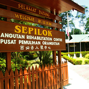 Borneo_Sepilok_orangutangcenter_01