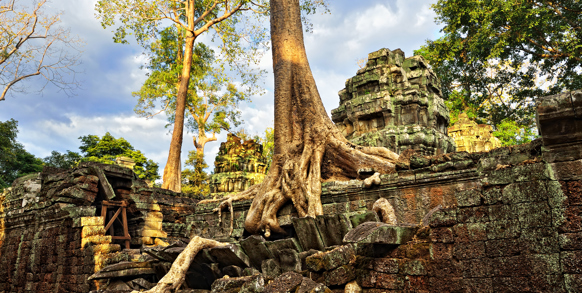 cambodia - siem reap_ta prohm_03