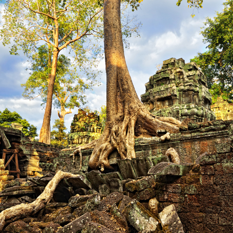 cambodia - siem reap_ta prohm_03
