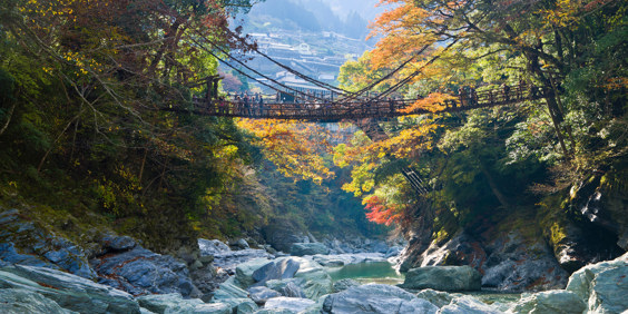 Shikoku Bro02