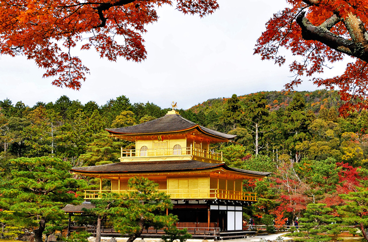 japan - kyoto_golden pavillion_02_hf