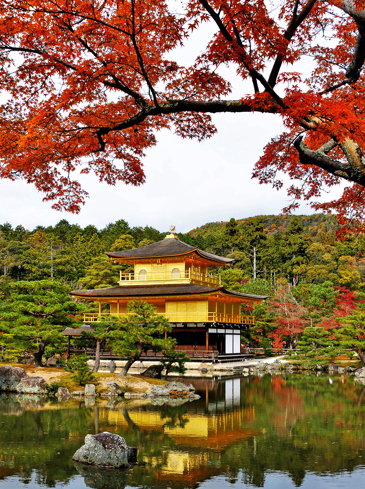 japan - kyoto_golden pavillion_02_hf