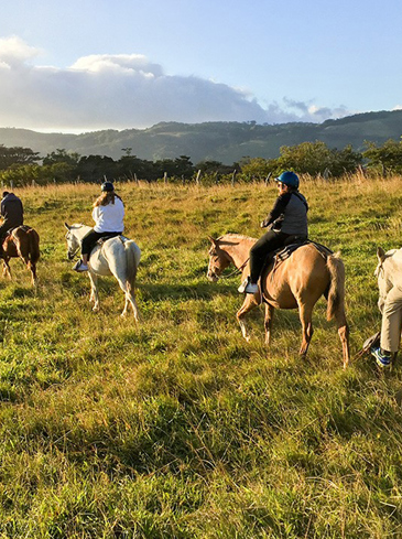 costa rica - Monteverde_Horse_01