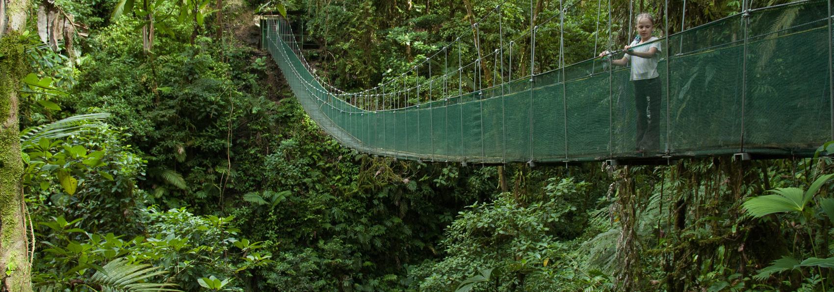 costa rica - arenal haengebro_02