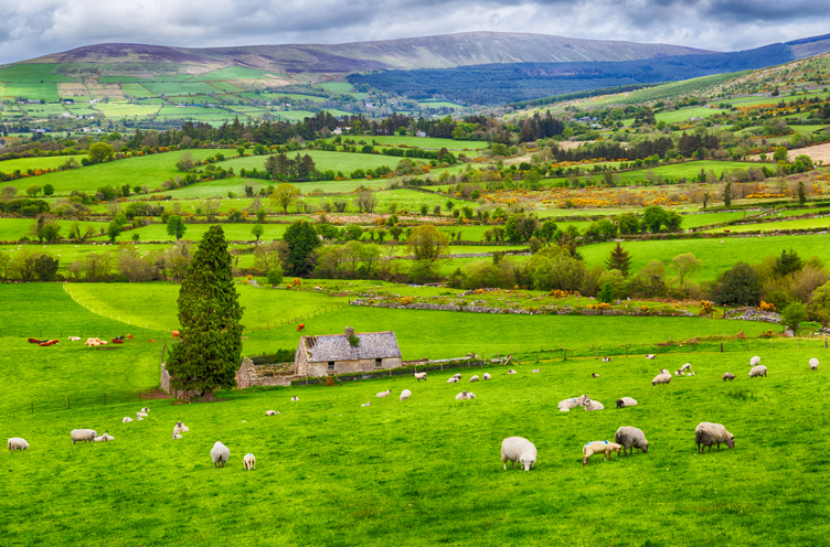 Irland Faar Paa Mark 01