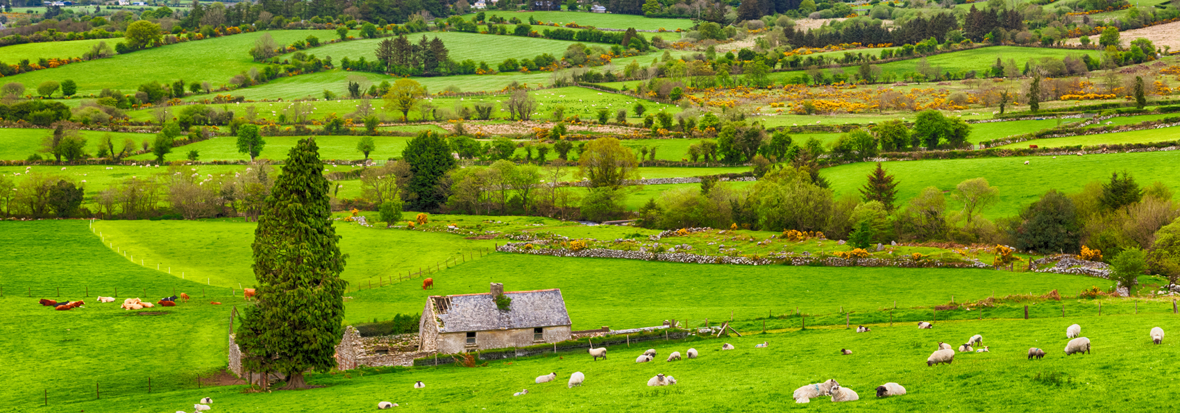 Irland Faar Paa Mark 01