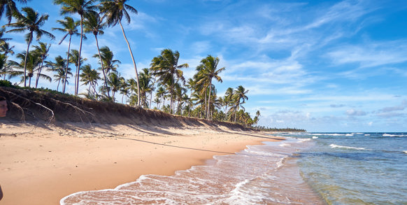Måske strandforlængelse? ved strandende nord for Salvador