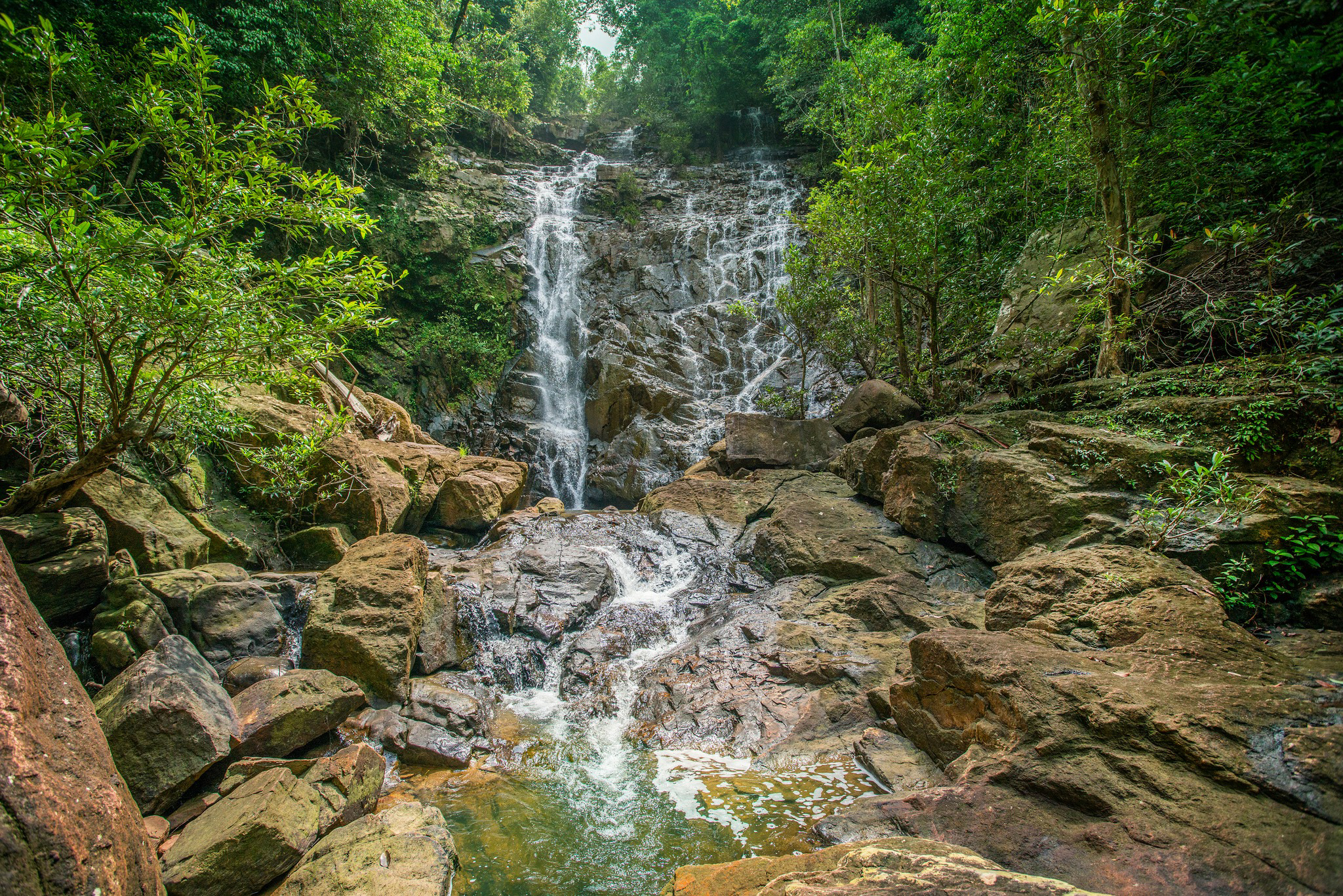 Rompin Rainforest Lodge 11