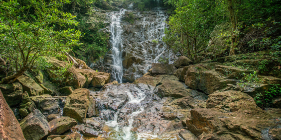 Rompin Rainforest Lodge 11